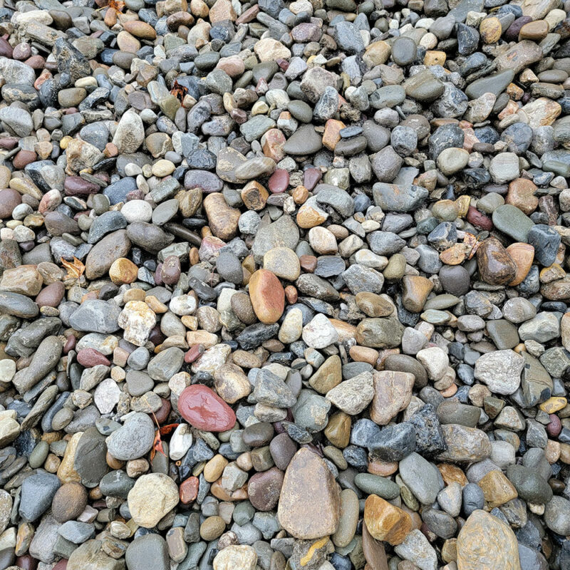 Delaware River Jax (choose size) Atlantic Mulch