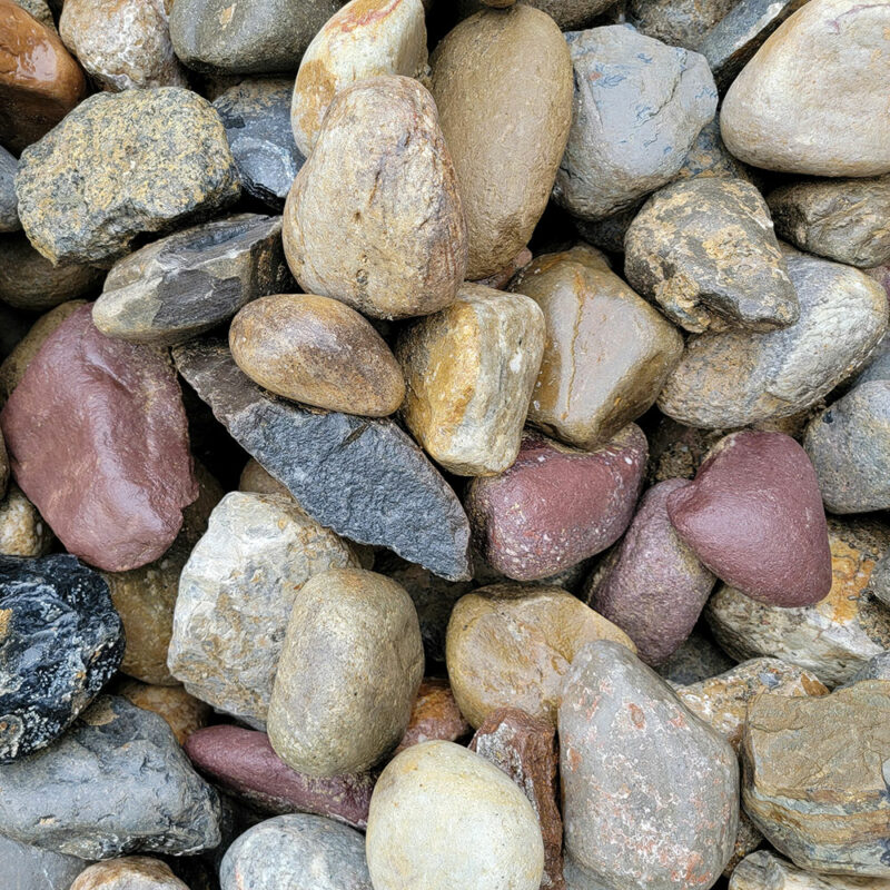 Delaware River Jax (choose size) Atlantic Mulch